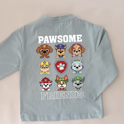 Paw Patrol Pawsome Friends Design